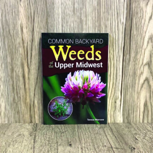 Common Backyard Weeds