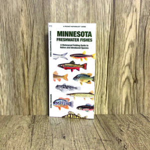 MN Freshwater Fish Guide